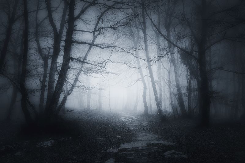 Hoping to see a ghost ahead of Halloween (Getty Images)