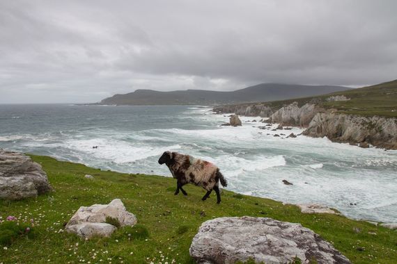 Achill Island. Credit: Getty