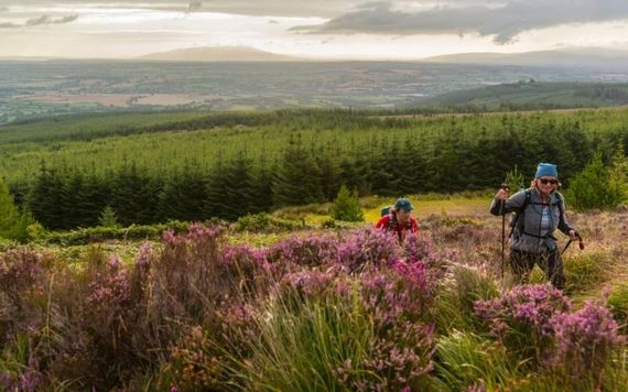 The Glen of Aherlow. The Glen of Aherlow.