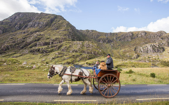 Killarney National Park, County Kerry. Killarney National Park, County Kerry.